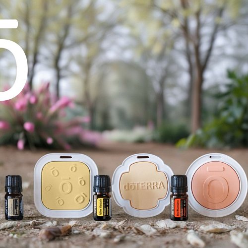 Красный, желтый, зеленый… цитрус!