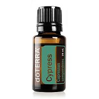 картинка Cypress (Cupressus sempervirens) Essential Oil / Кипарис , эфирное масло 15мл Эфирных масел doTERRA от интернет магазина doTERRA.moscow