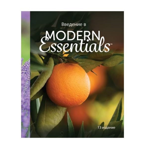 Справочник "Введение в Modern Essentials"