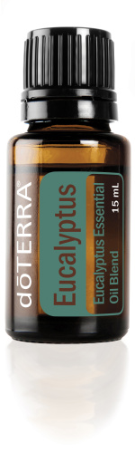 Eucalyptus Essential Oil Blend / Эвкалипт ( Eucalyptus spp ), 15 мл