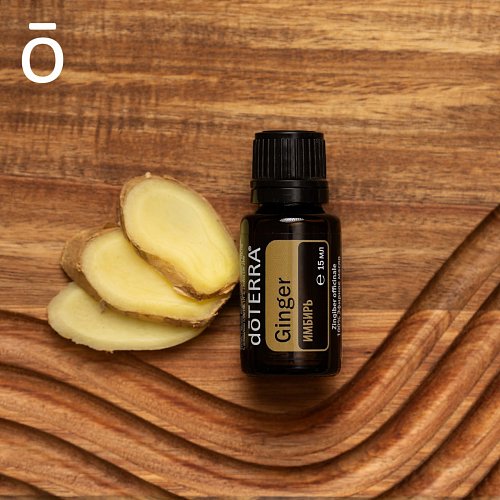 Имбирь и его целительные свойства