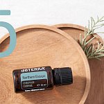 Акция Ноября 2025