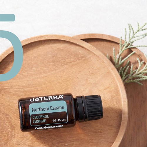 Акция Ноября 2025