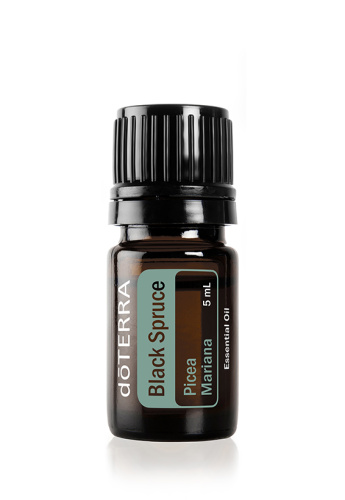 Black Spruce/Черная ель