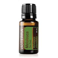 картинка Melaleuca (Melaleuca alternifolia) Essential Oil (Tea Tree) / Чайное дерево, эфирное масло 15мл Эфирных масел doTERRA от интернет магазина doTERRA.moscow