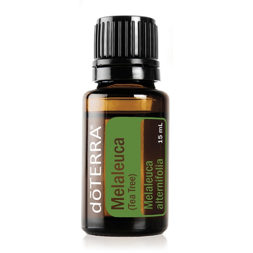 Melaleuca (Melaleuca alternifolia) Essential Oil (Tea Tree) / Чайное дерево, эфирное масло 15мл