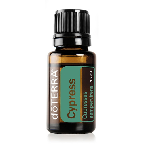 Cypress (Cupressus sempervirens) Essential Oil / Кипарис , эфирное масло 15мл